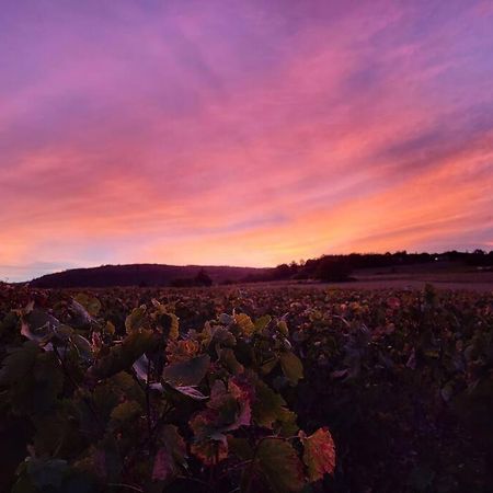 Le Clos Du Botaniste Pouilly-le-Monial 외부 사진