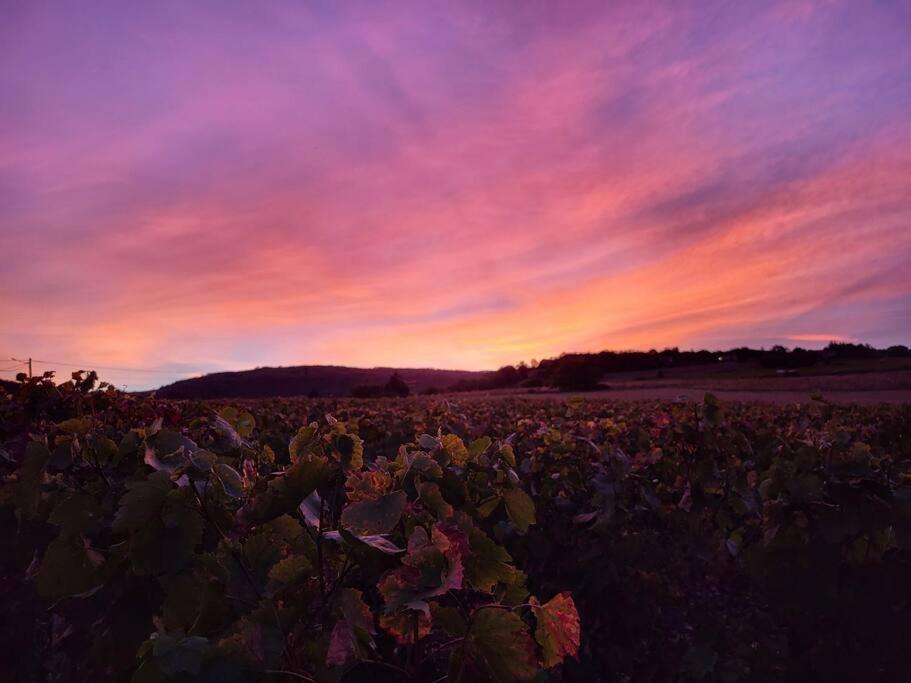 Le Clos Du Botaniste Pouilly-le-Monial 외부 사진