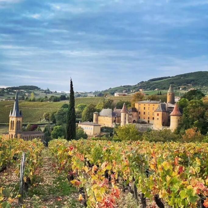 Le Clos Du Botaniste Pouilly-le-Monial 외부 사진